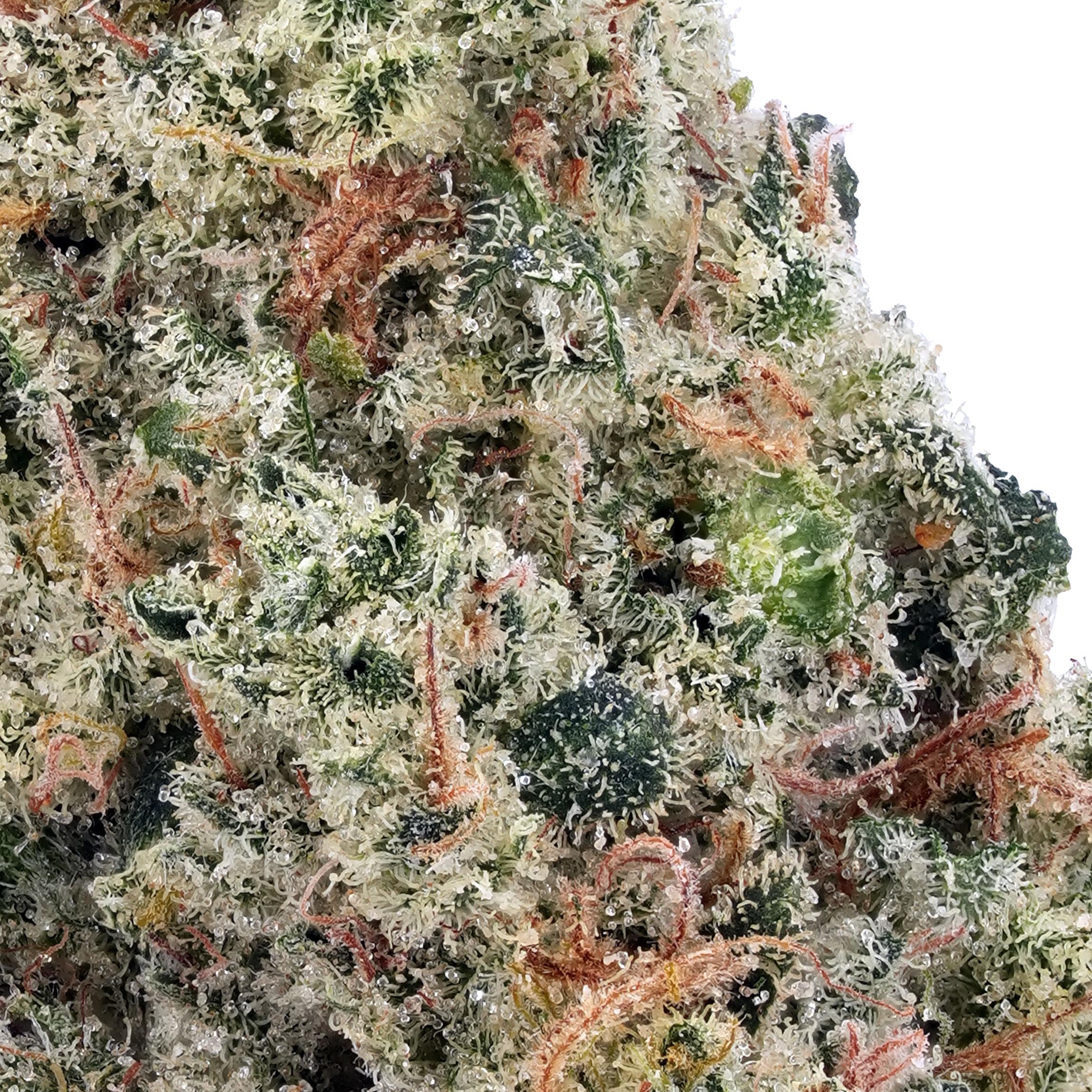 A gallery image for Maui Wowie THCa Flower