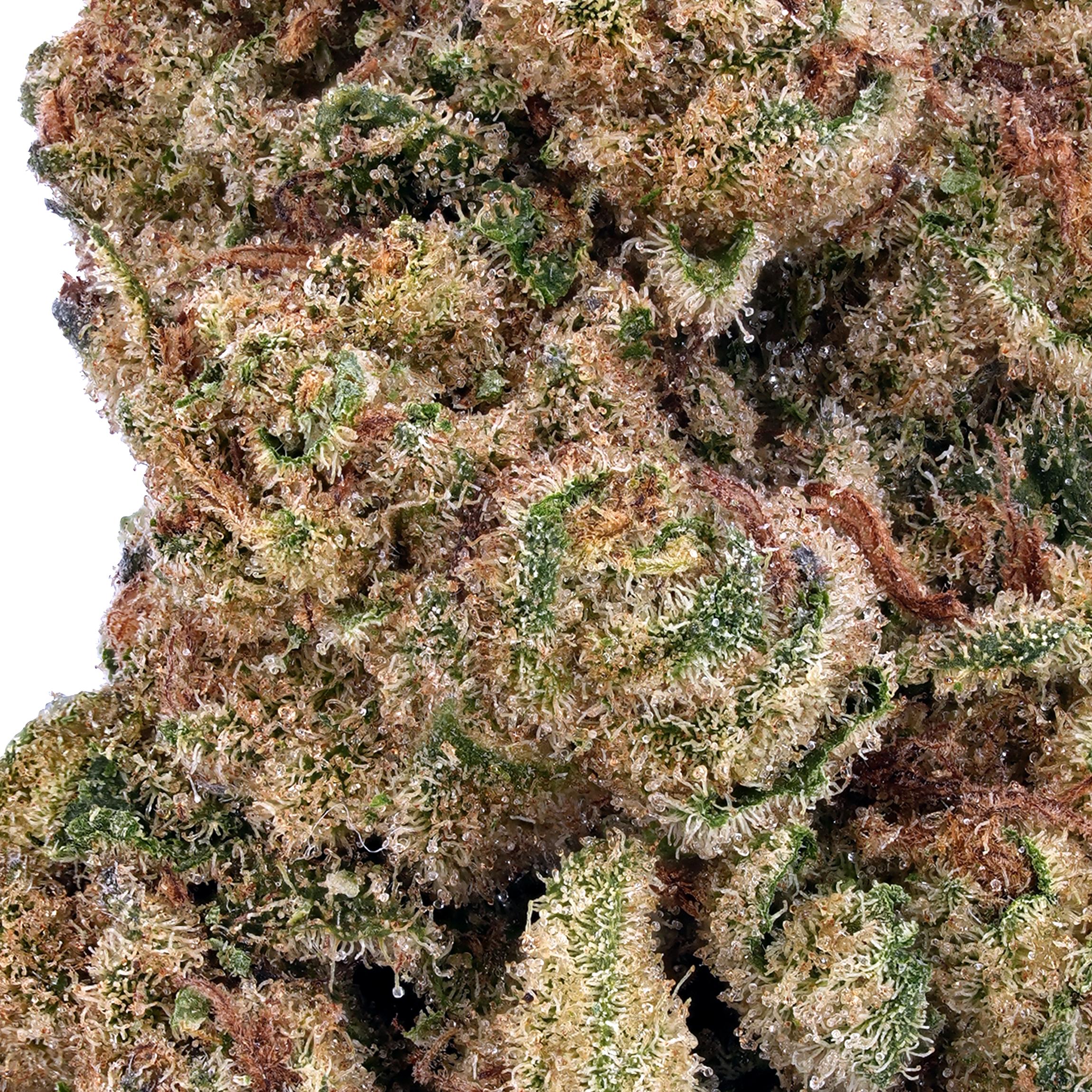 A gallery image for Raspberry Kush THCa Flower