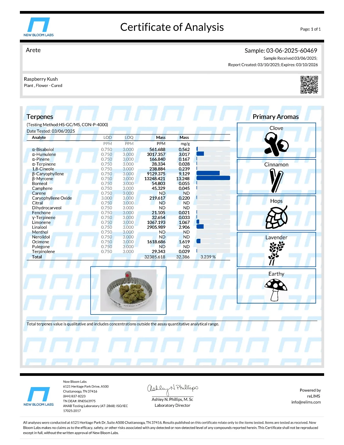 Lab Report Page for Raspberry Kush THCa Flower