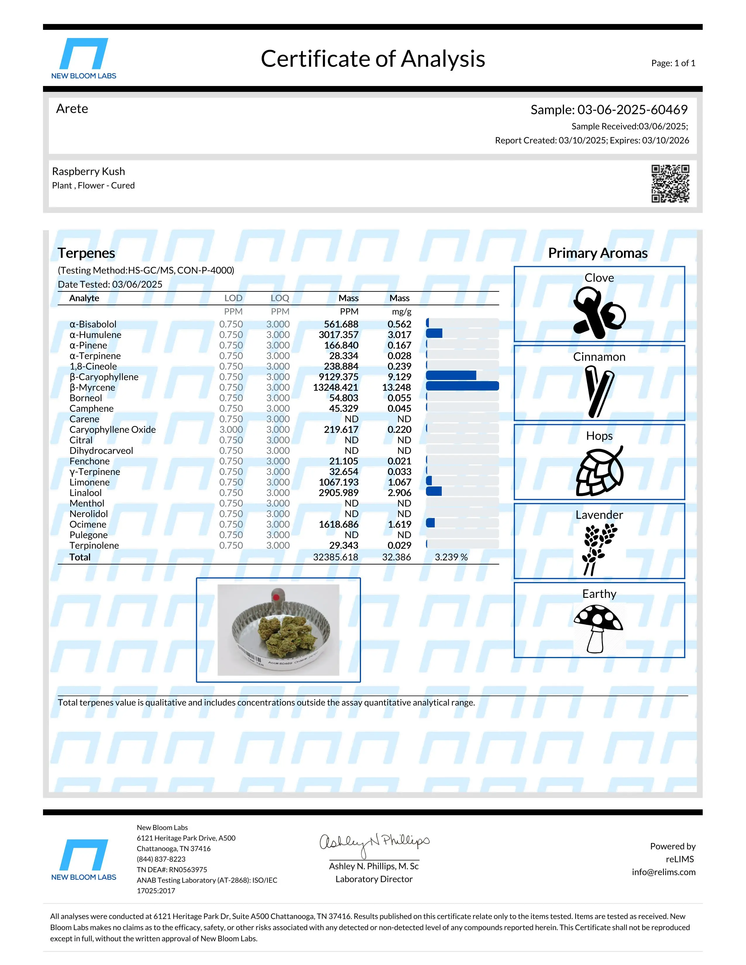 Lab Report Page for Raspberry Kush THCa Flower