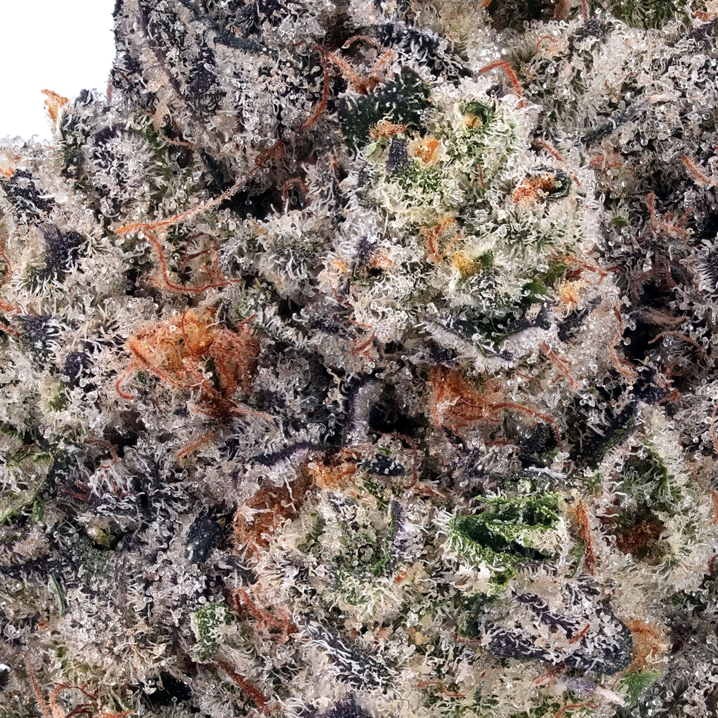 A gallery image for Sour Diesel THCa Flower