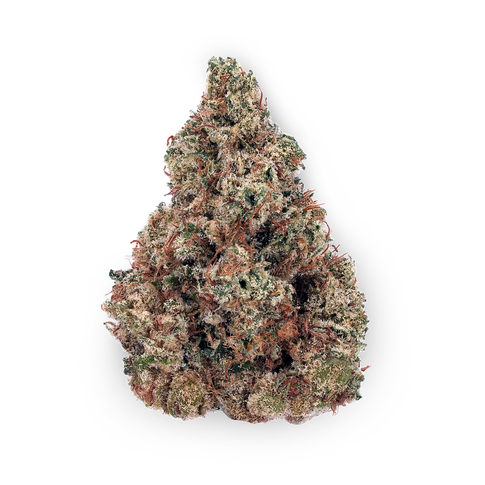 The product image for Banana Bread CBD Hydroponic Hemp Flower