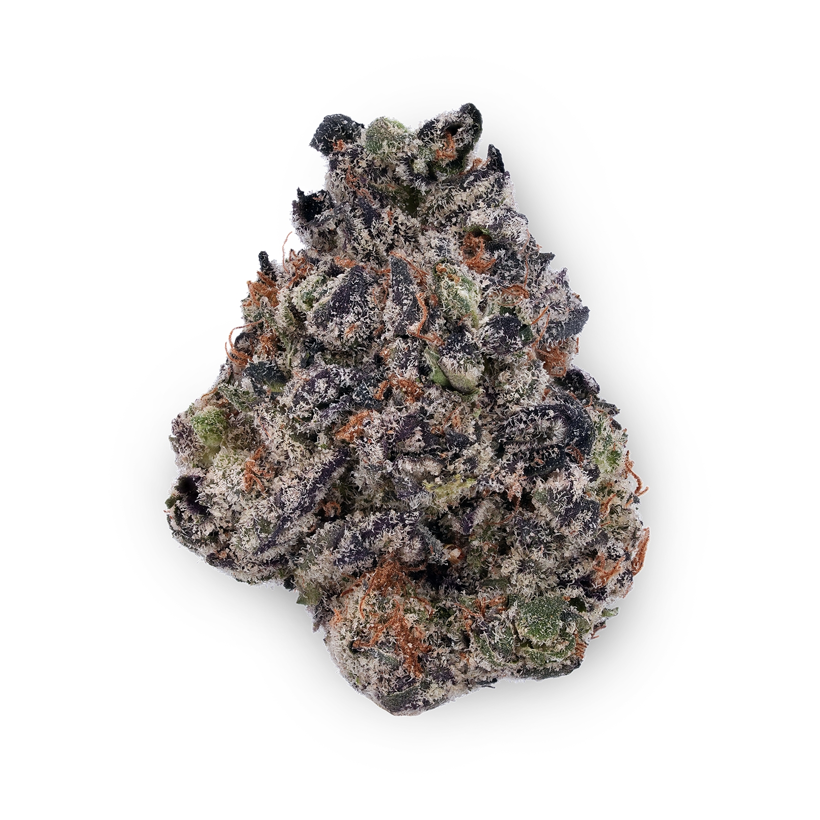 The product image for Blue Cookies THCa Flower