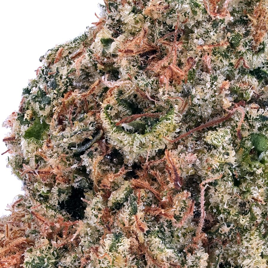 A gallery image for Apple Pie CBD Hydroponic Hemp Flower