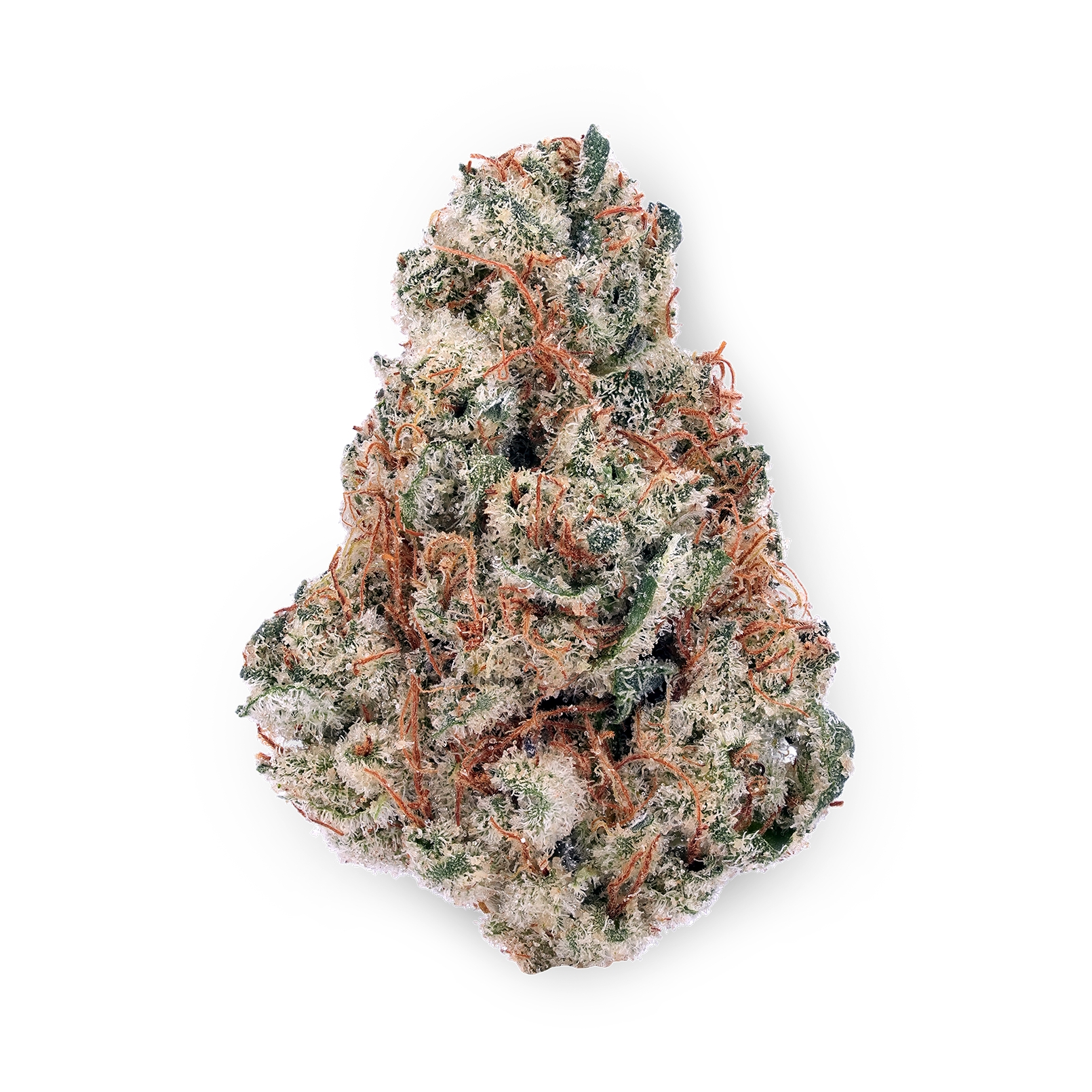 The product image for Banana Bread CBD Hydroponic Hemp Flower