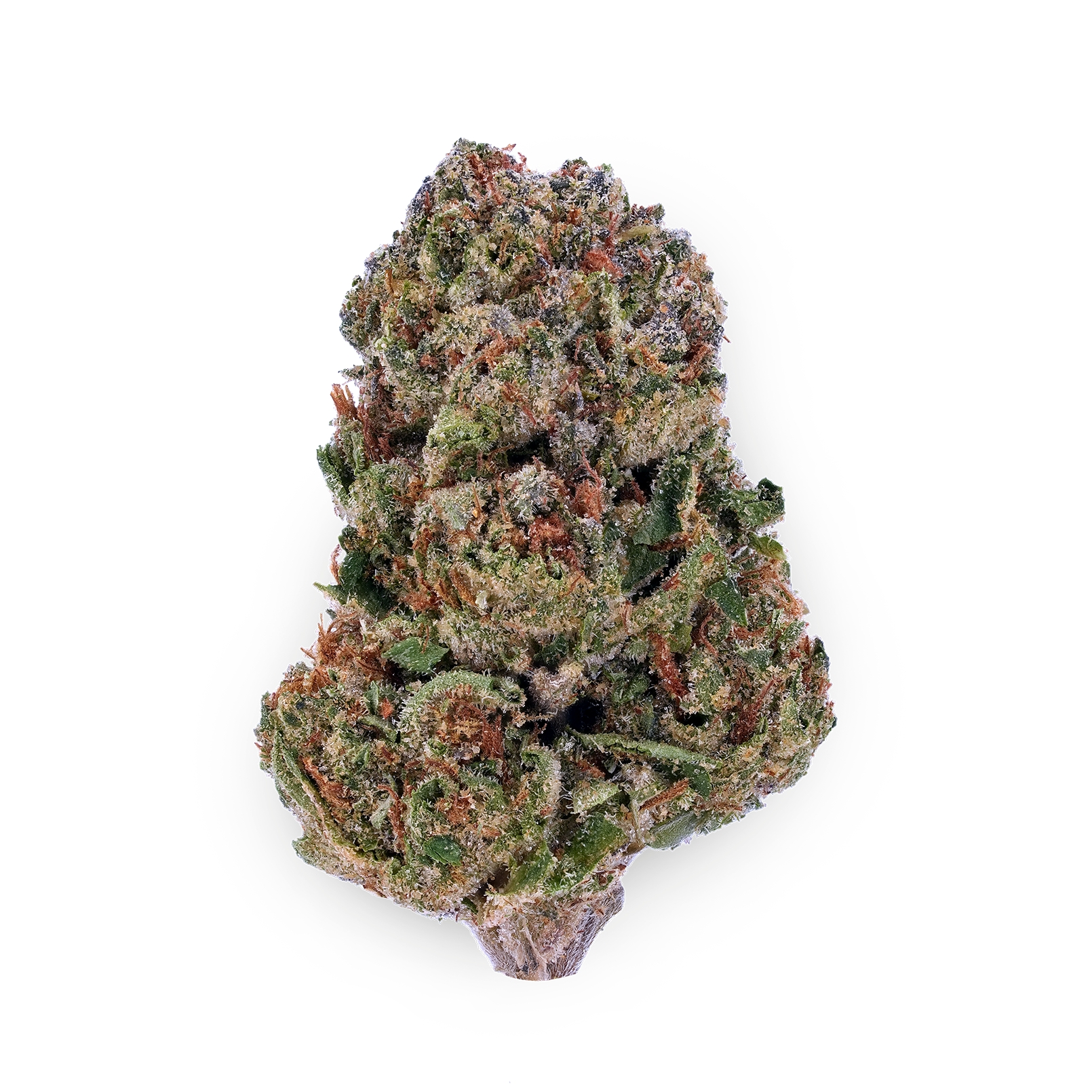 The product image for Peanut Butter Cookies THCa Flower