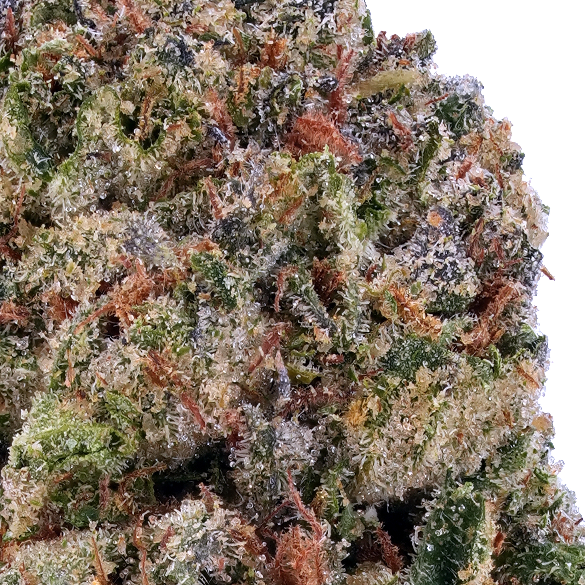 A gallery image for Peanut Butter Cookies THCa Flower