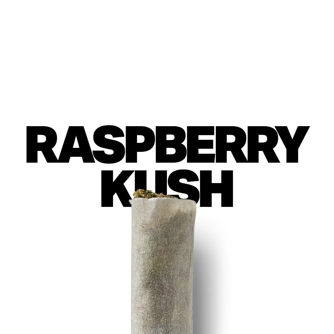 A gallery image for THCa Flower Pre Rolls