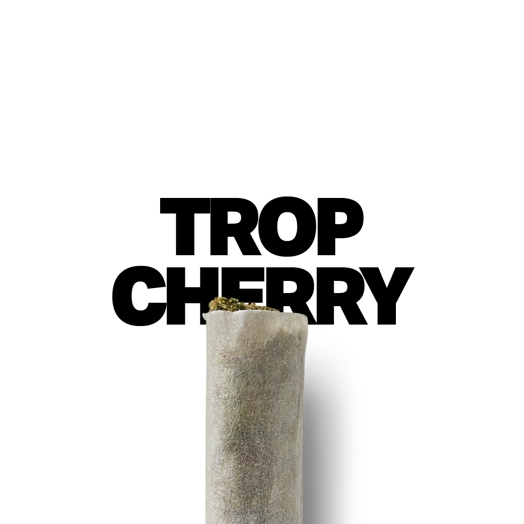 A gallery image for THCa Flower Pre Rolls
