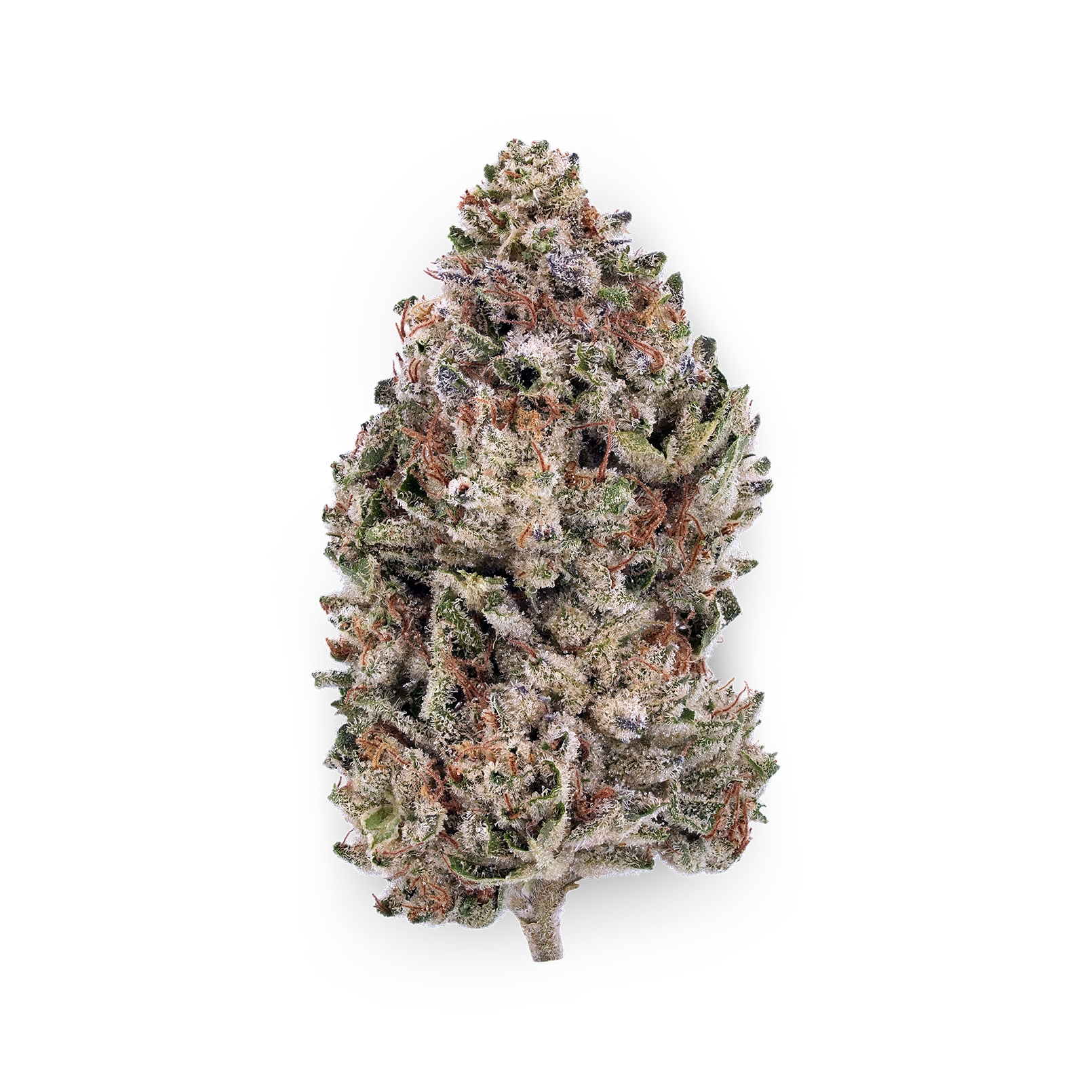 The product image for Cereal Milk THCa Flower