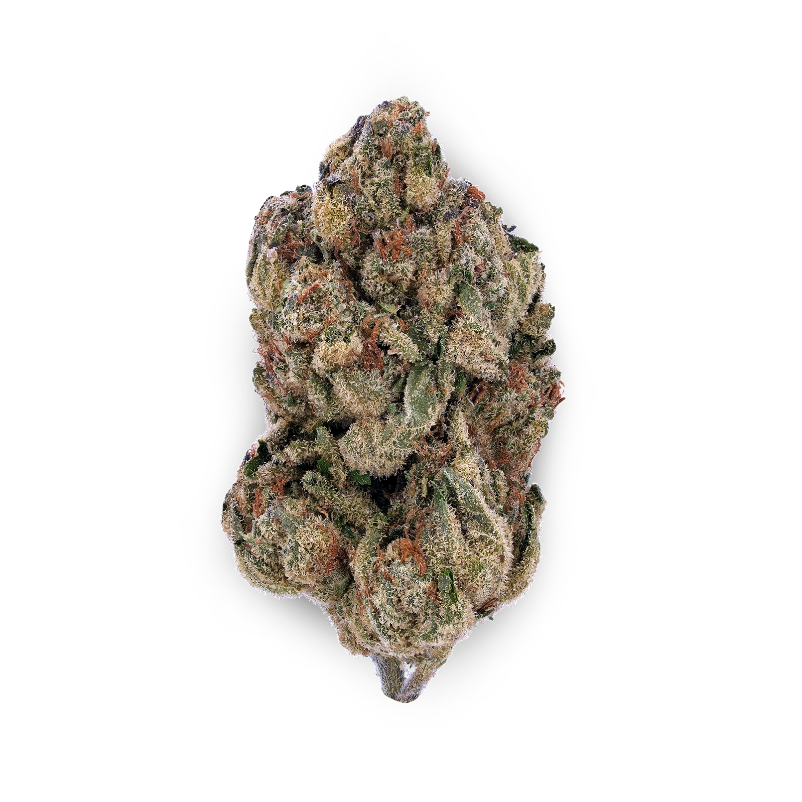 The product image for Cheetah Piss THCa Flower