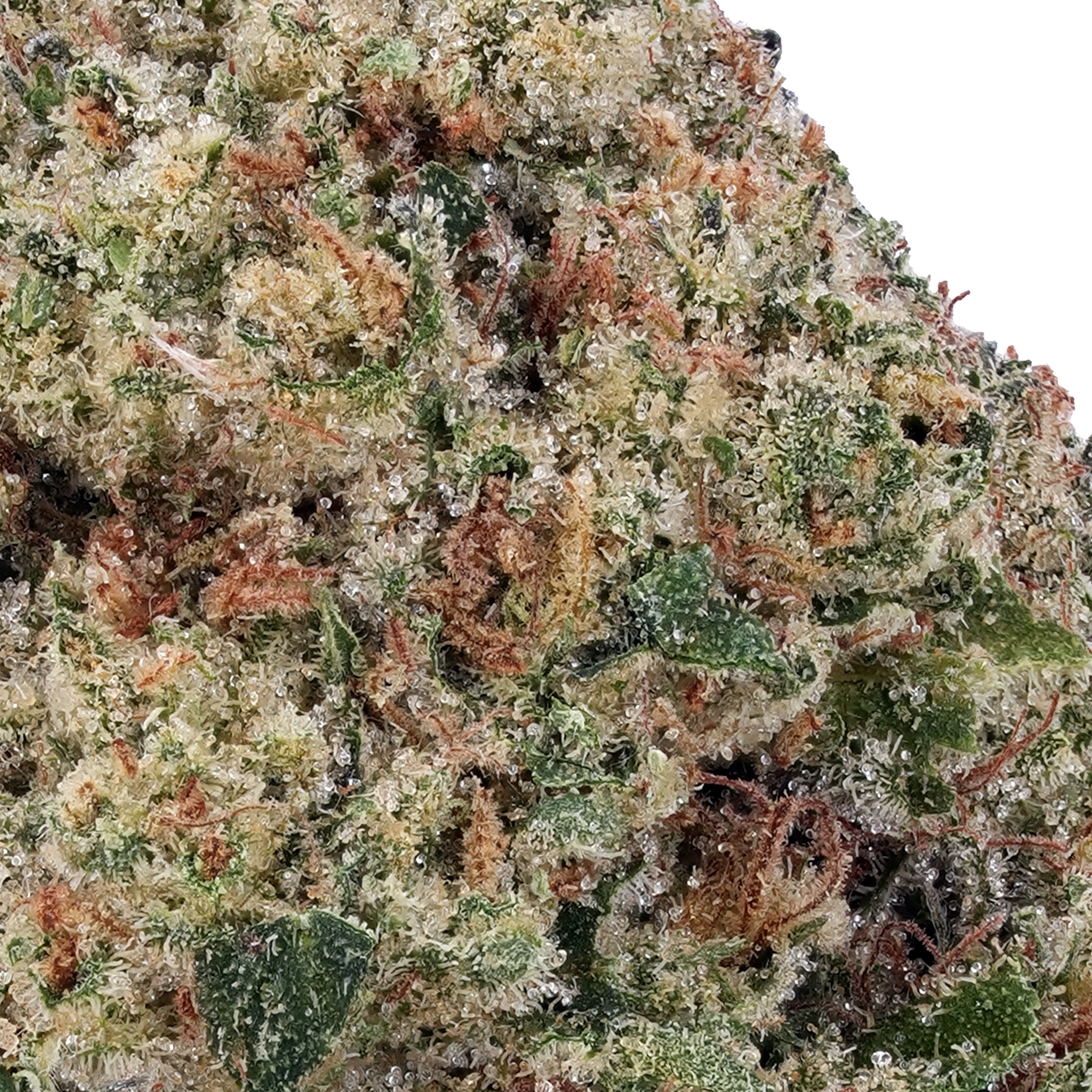 A gallery image for Kryptonite THCa Flower