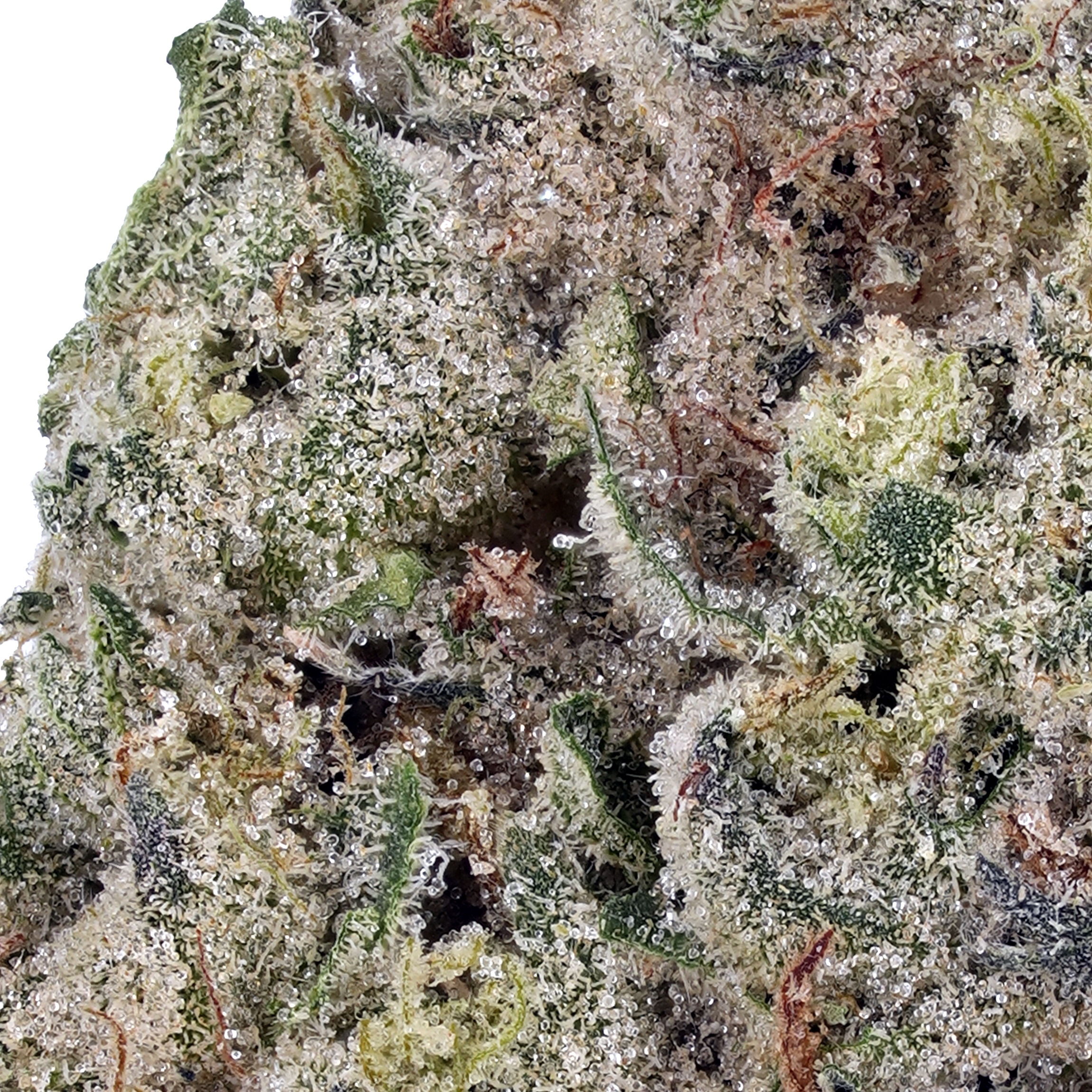 A gallery image for Salty Watermelon THCa Flower