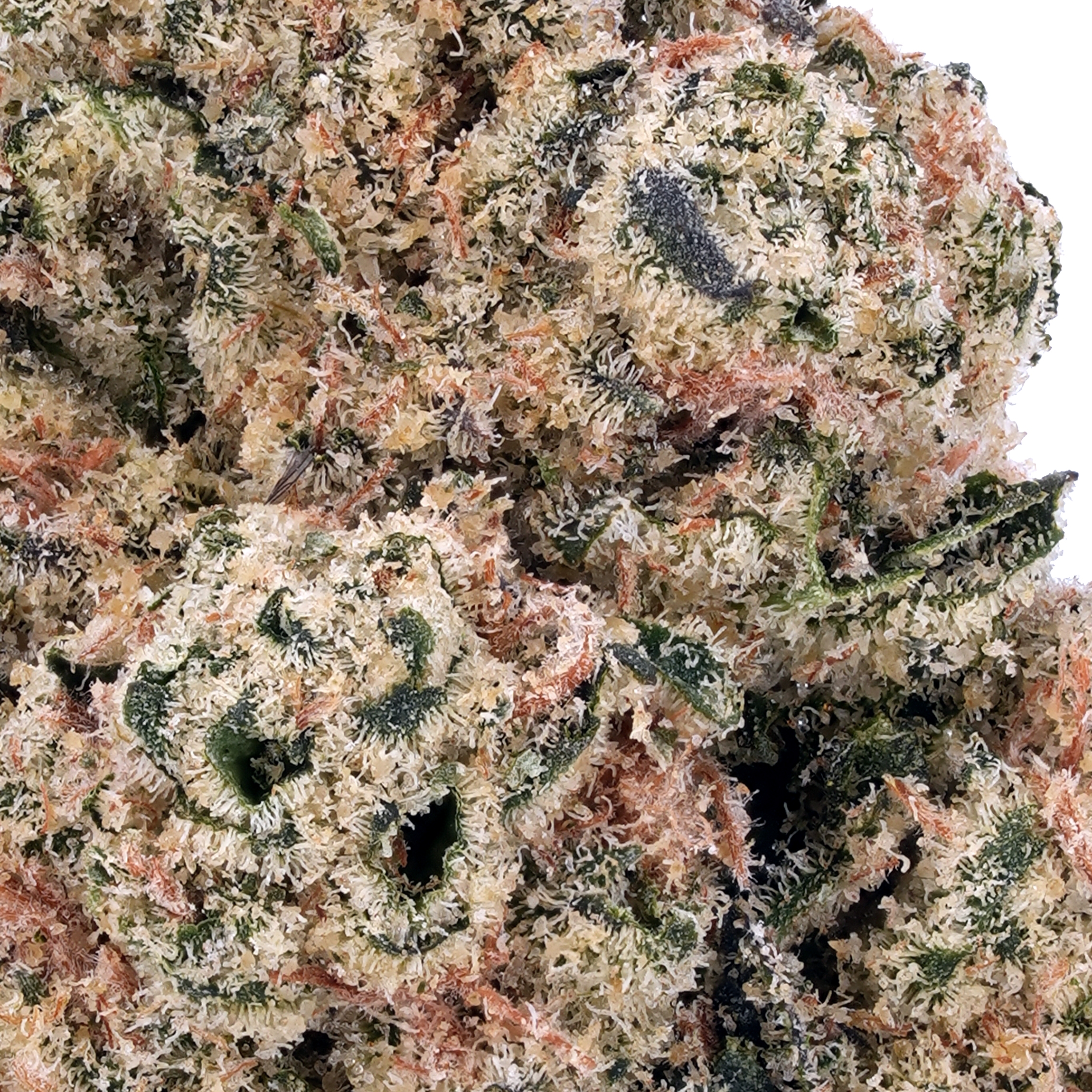 A gallery image for AK-47 THCa Flower