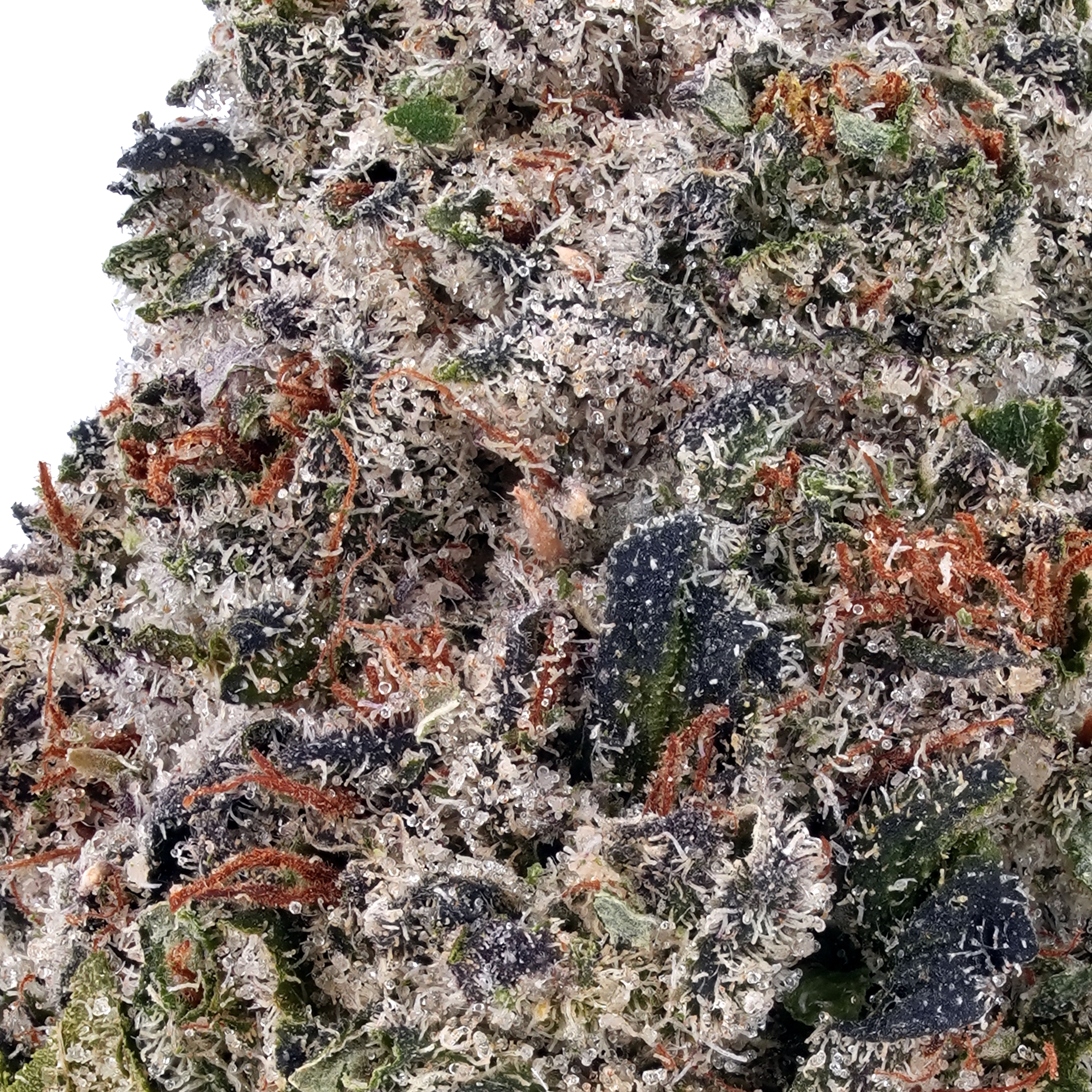 A gallery image for Biscotti Cake THCa Flower