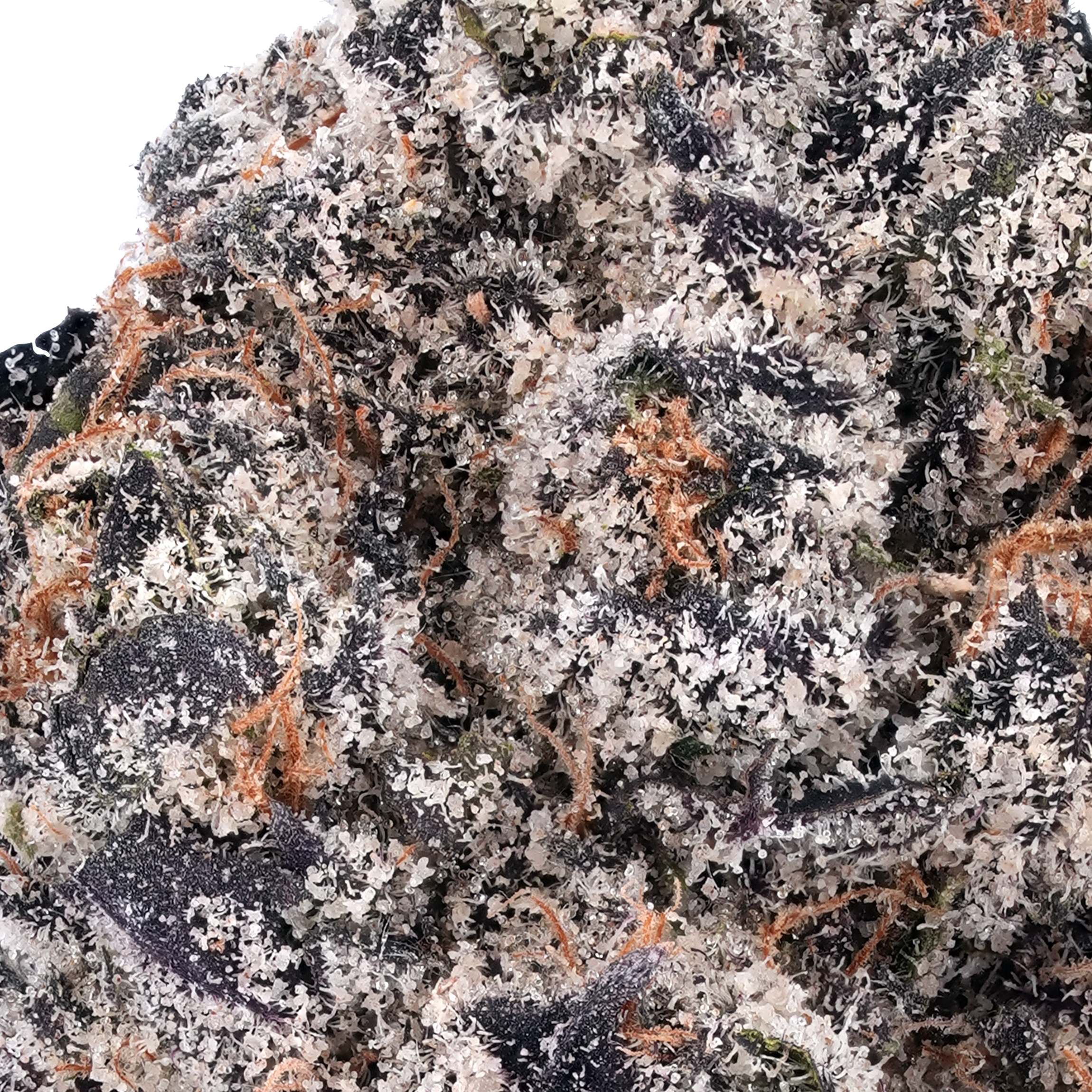 A gallery image for Black Cherry Soda THCa Flower