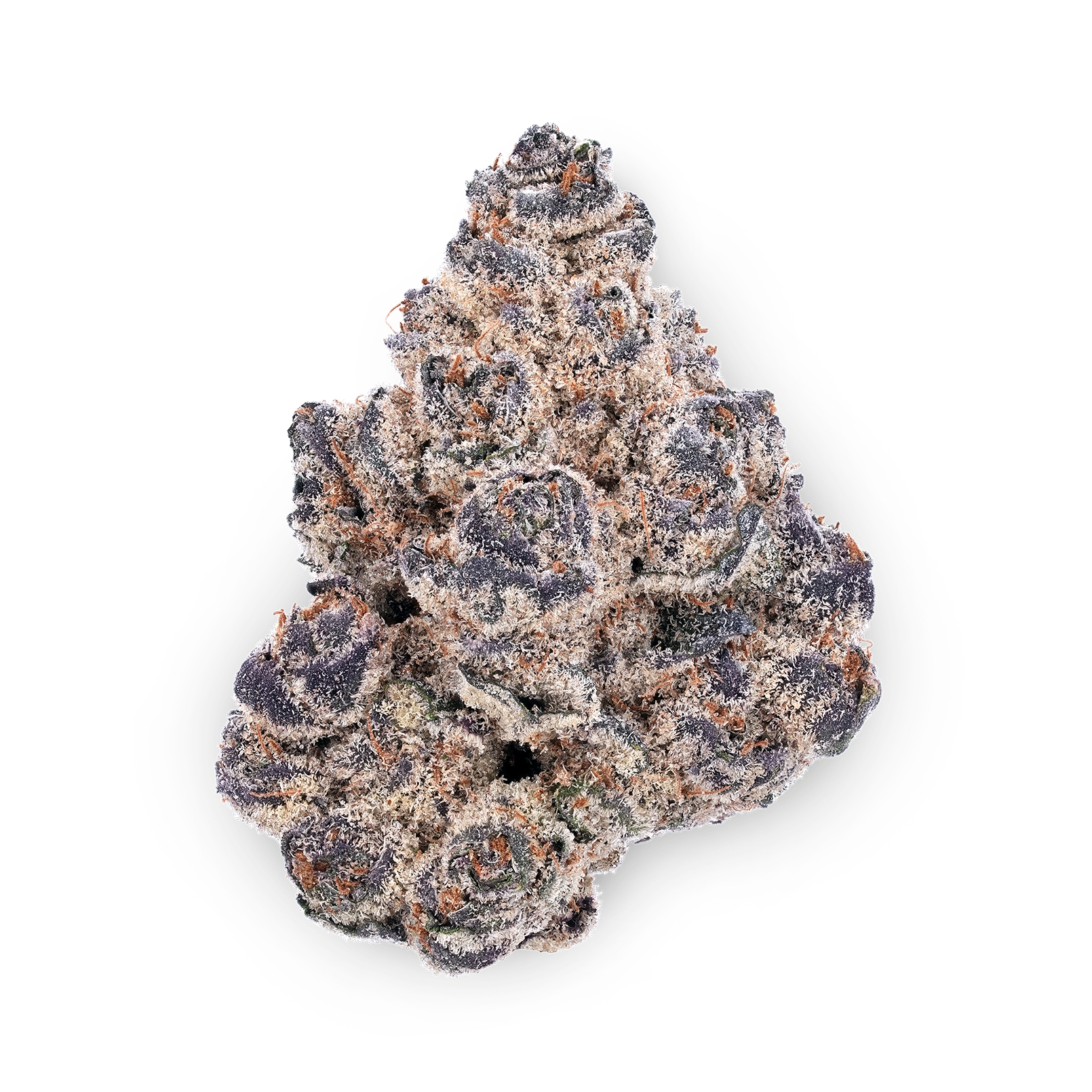 The product image for Blue Cookies THCa Flower