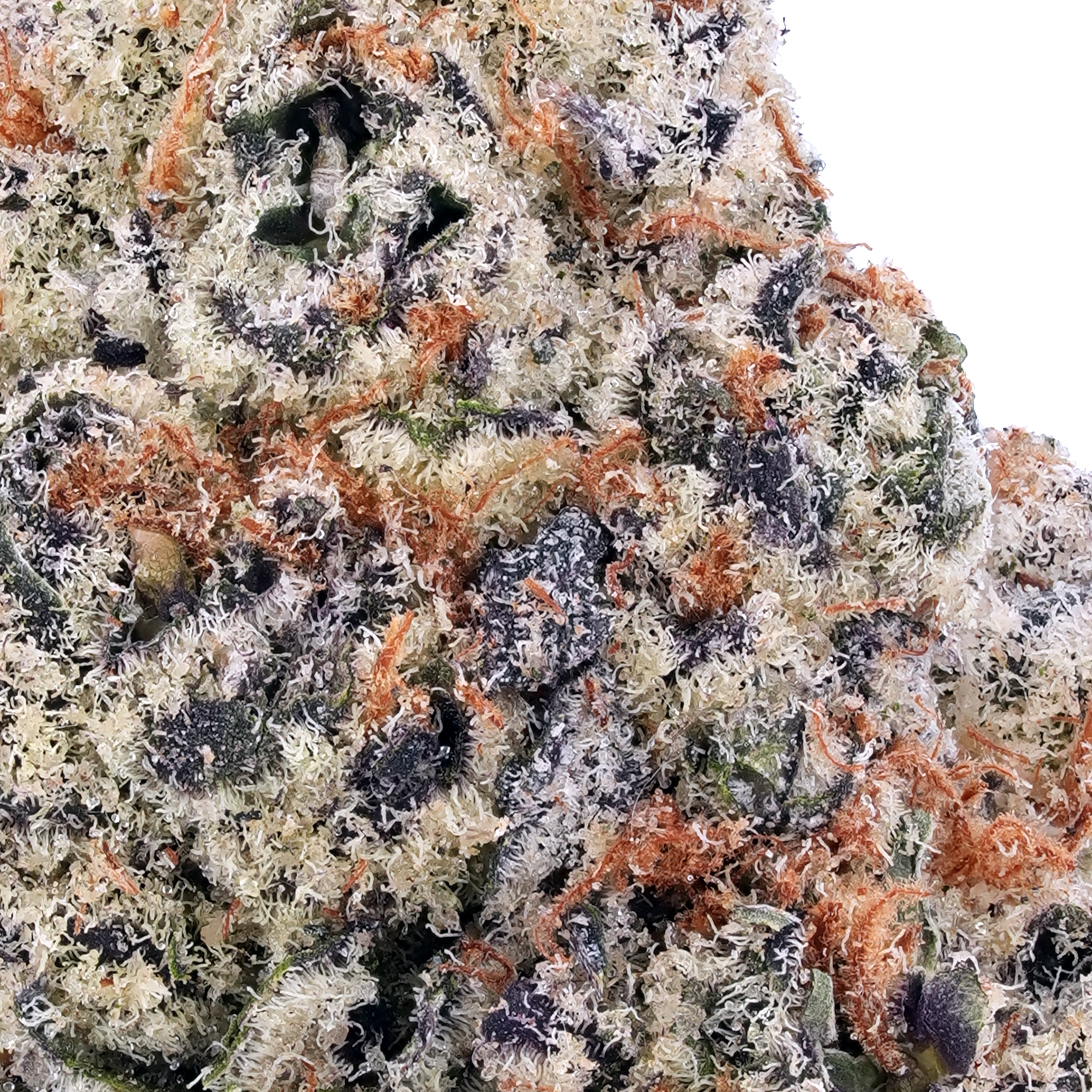 A gallery image for Bruce Banner #3 THCa Flower