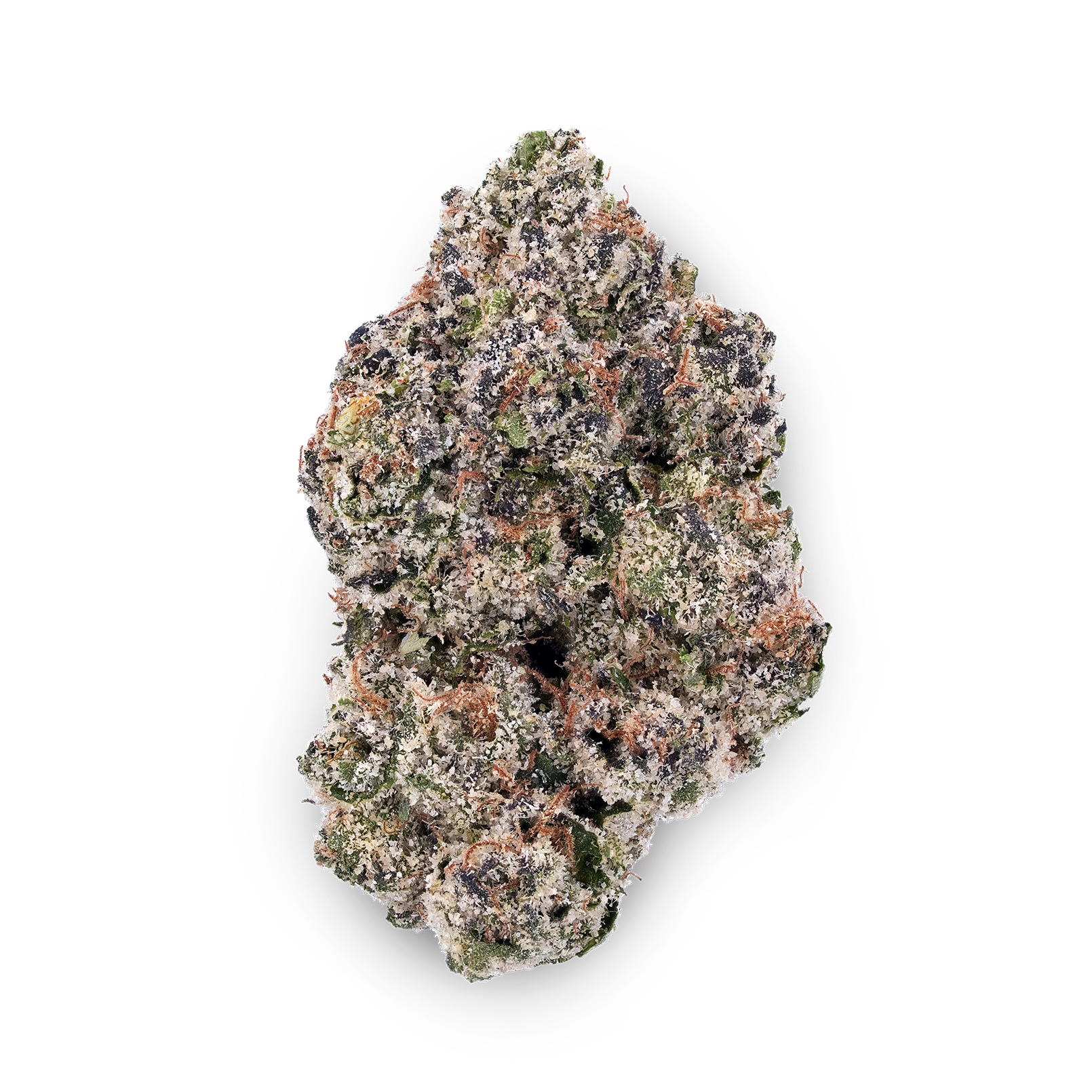 A gallery image for Stay Lit Kit | 4th of July Special