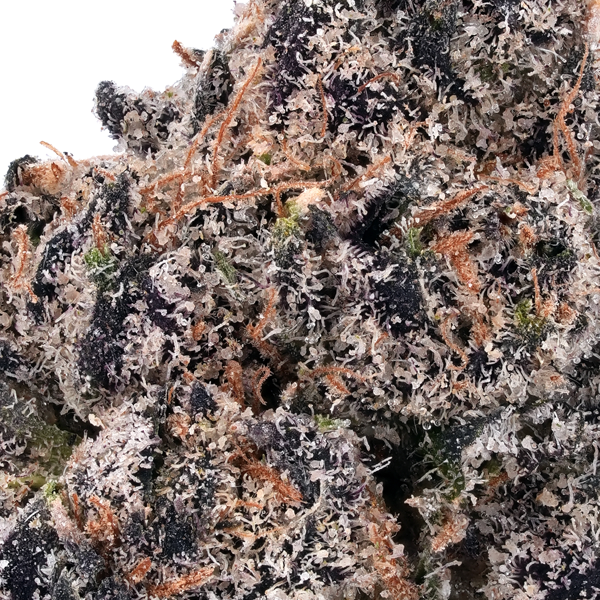 A gallery image for Royal Cherry Diesel THCa Flower