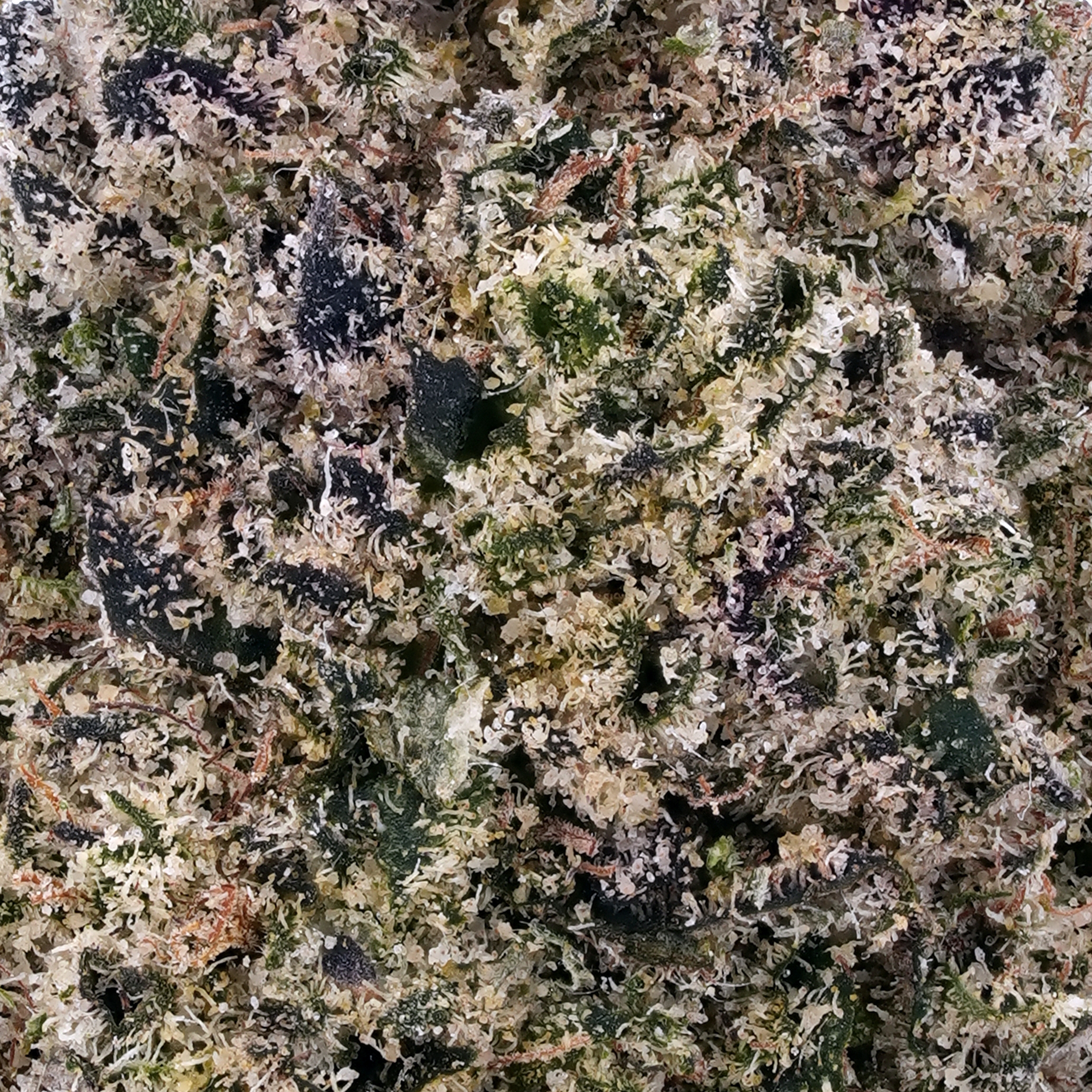 A gallery image for Supreme OG THCa Flower