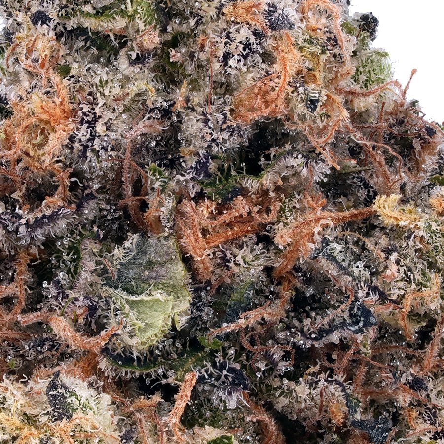 A gallery image for Amnesia Haze THCa Flower