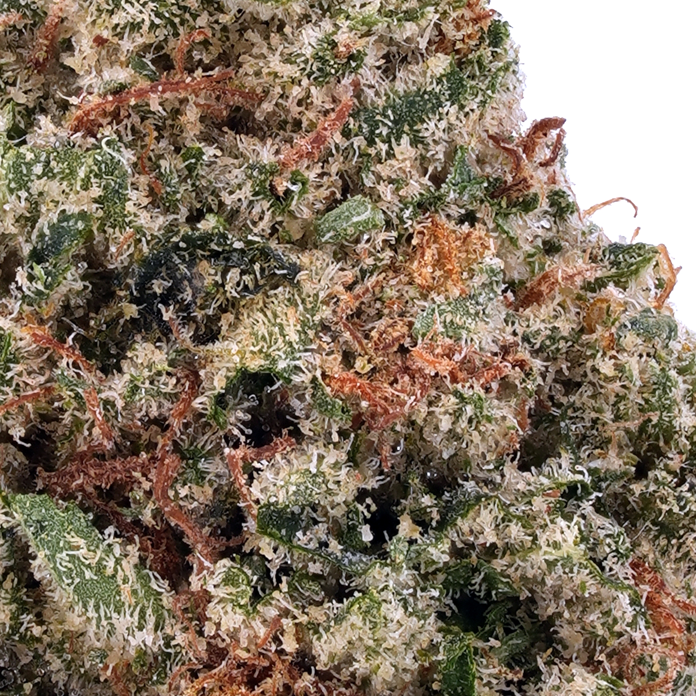 A gallery image for Lemon Pound Cake THCa Flower
