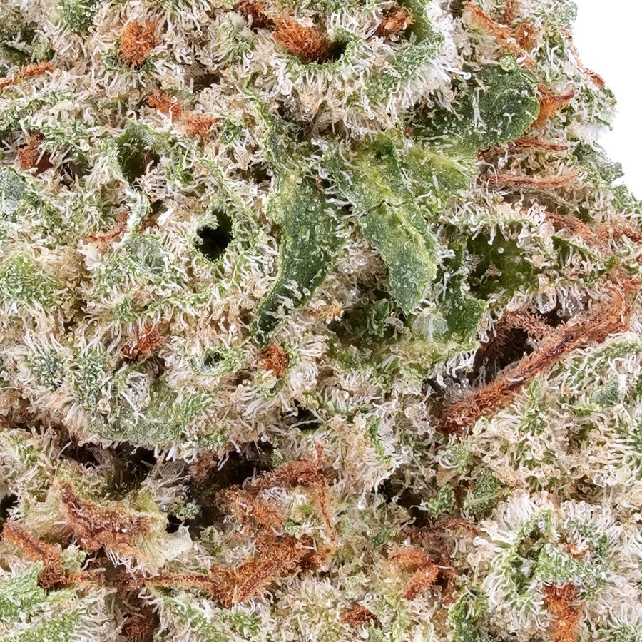 A gallery image for Super Silver Haze THCa Flower