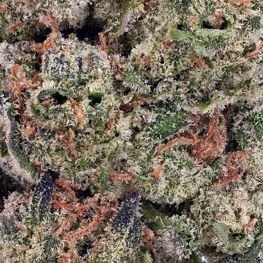 Alien Abduction THCa Flower, photo 2 of 2