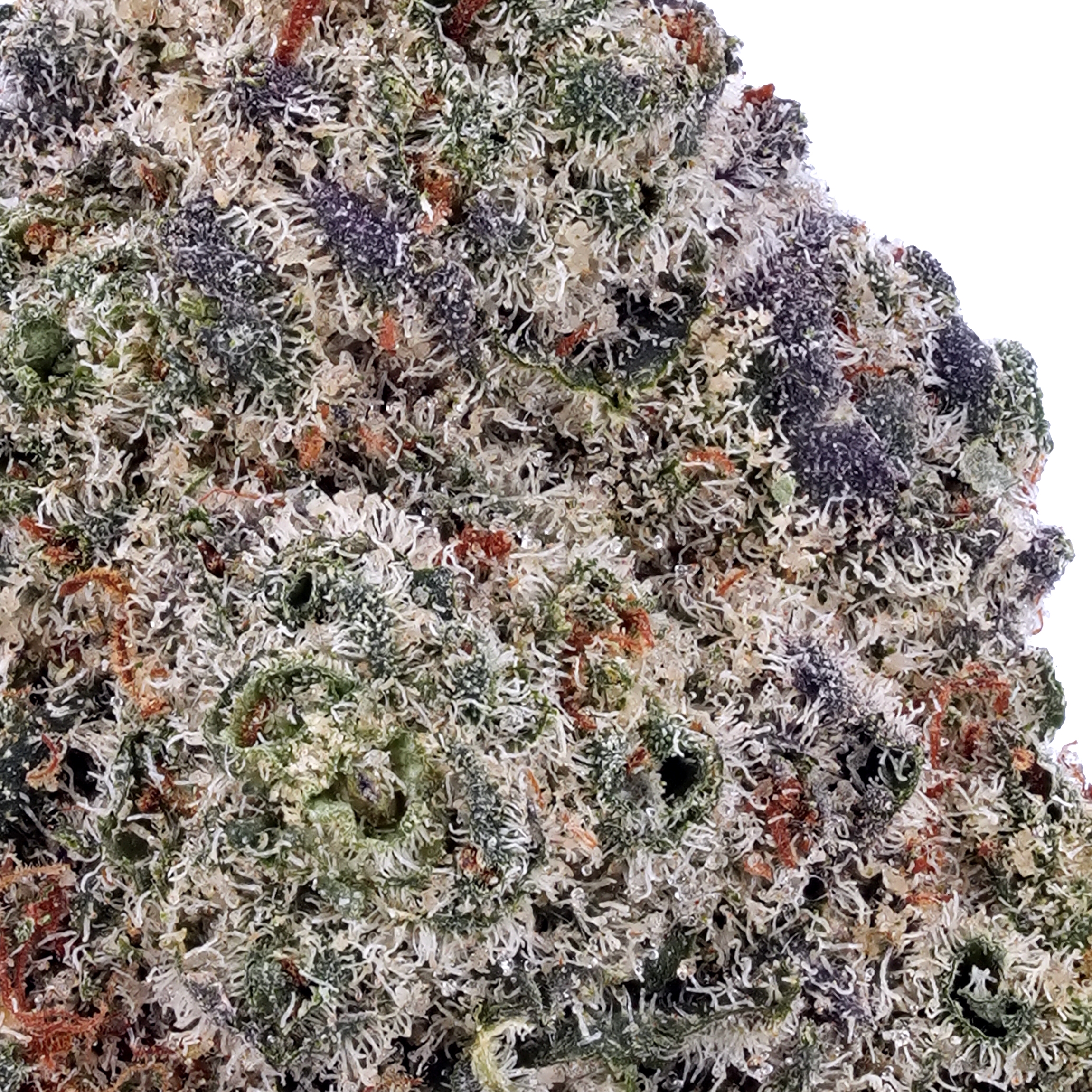 A gallery image for Creamsicle THCa Flower
