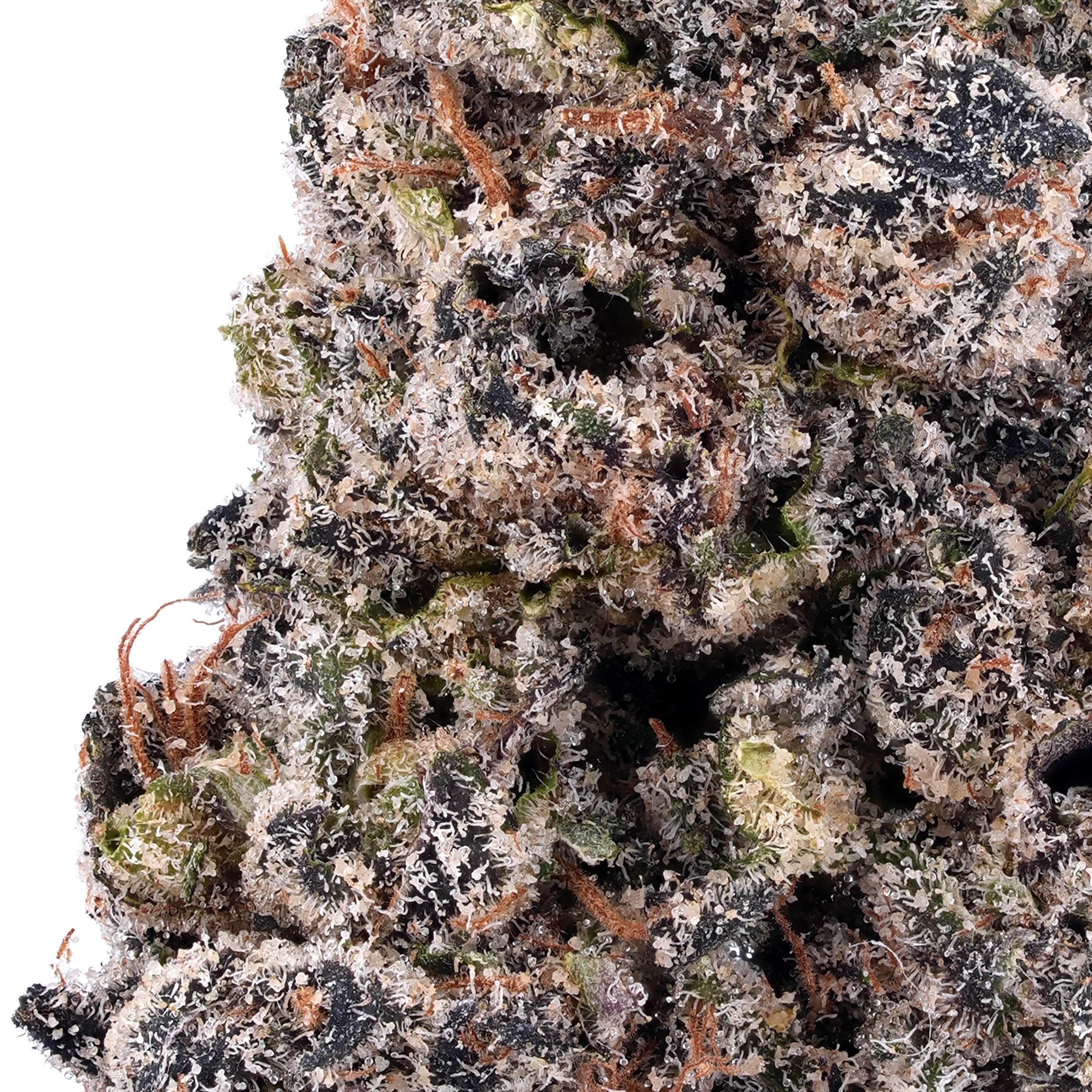A gallery image for Donny Burger THCa Flower