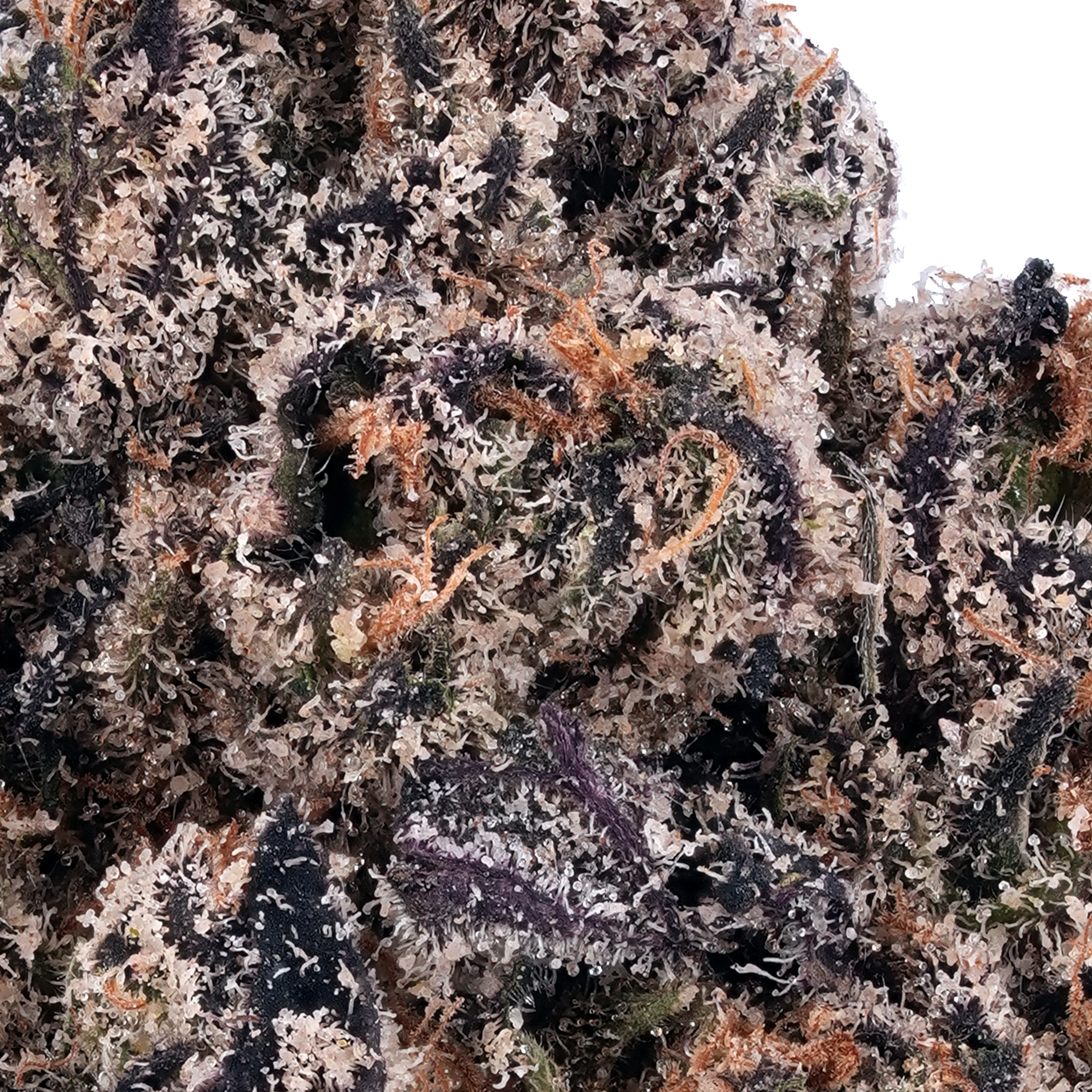 A gallery image for Hippie Crippler THCa Flower
