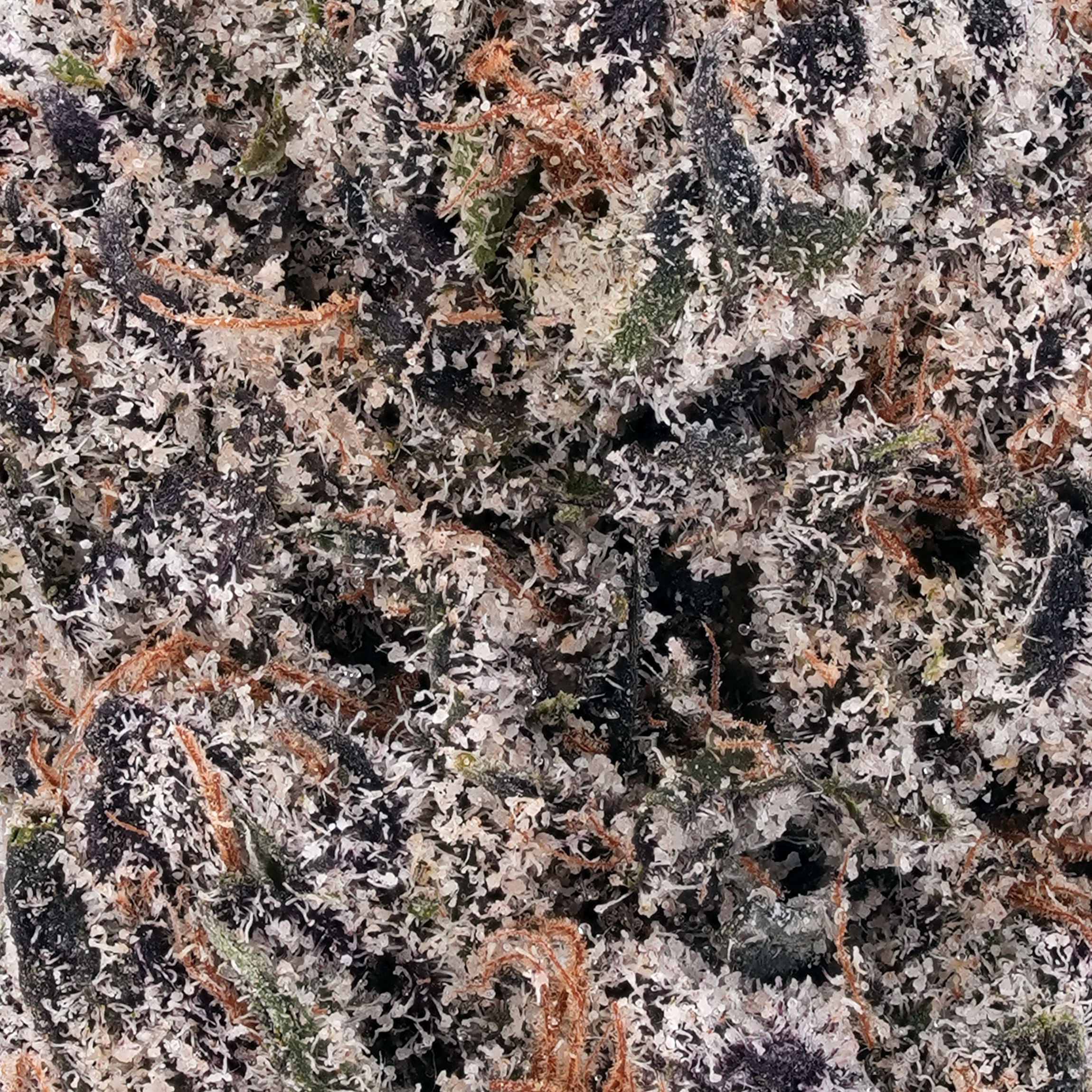 A gallery image for Ice Cream Cake THCa Flower