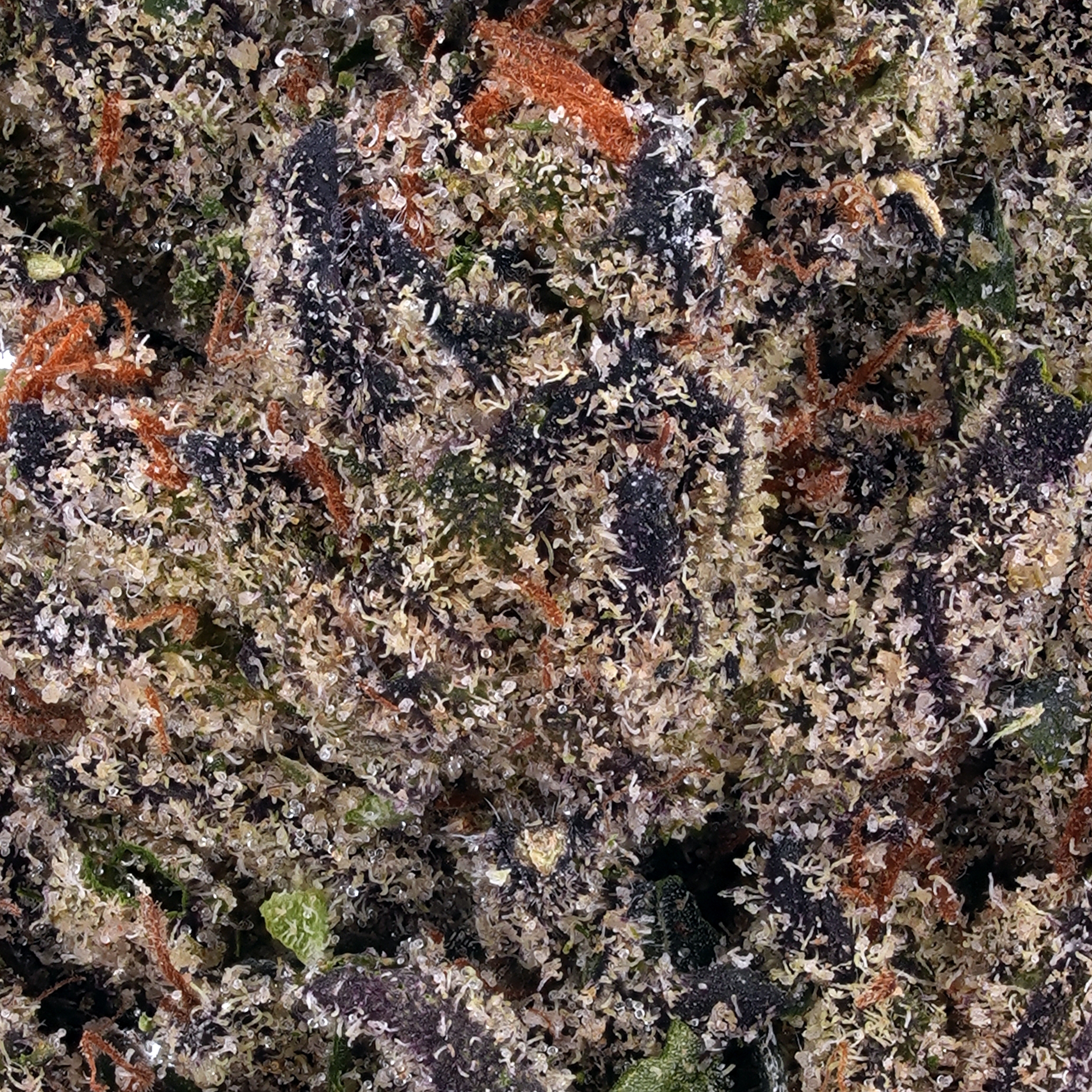 A gallery image for Kush Cake THCa Flower