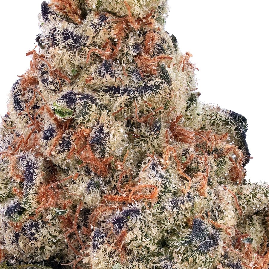 Blue Cookies THCa Flower, photo 2 of 2