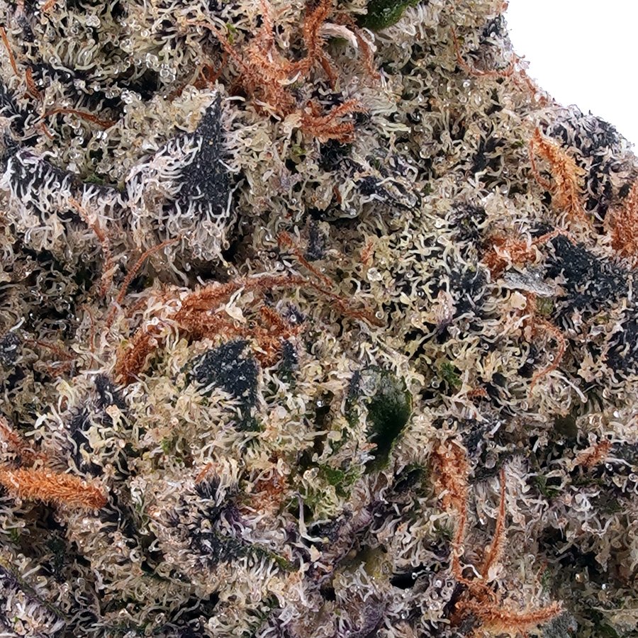 A gallery image for Purple Haze THCa Flower