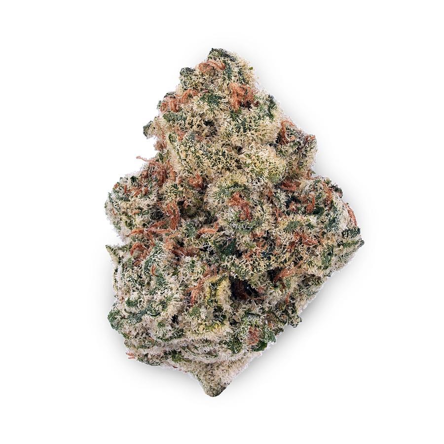 Cheetah Piss THCa Flower