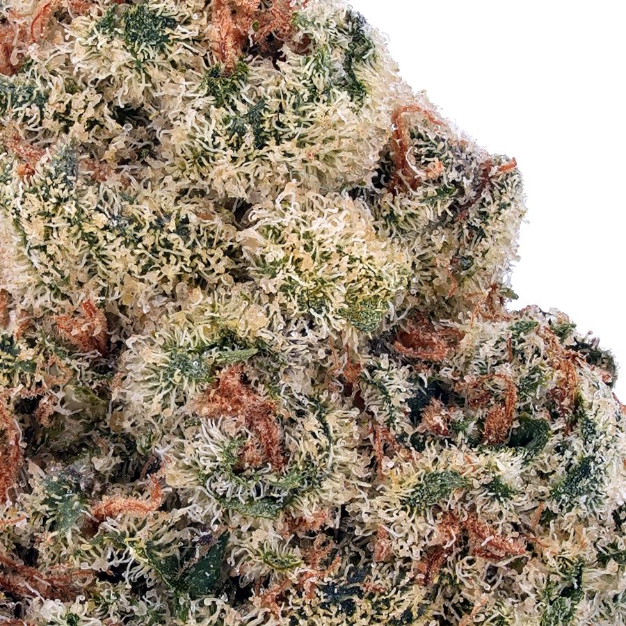 Cheetah Piss THCa Flower, photo 2 of 2