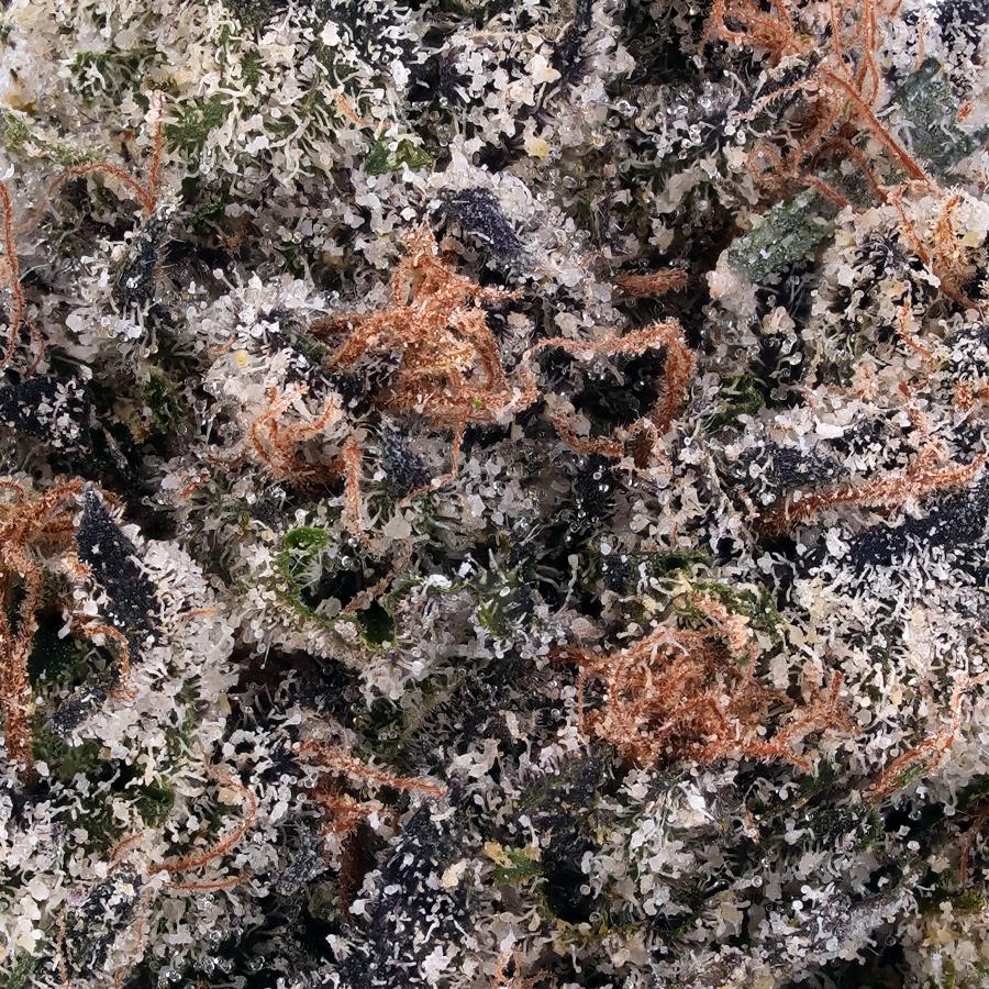 Cherry Pie THCa Flower, photo 2 of 2