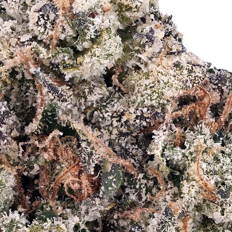 Durban Poison THCa Flower, photo 2 of 2