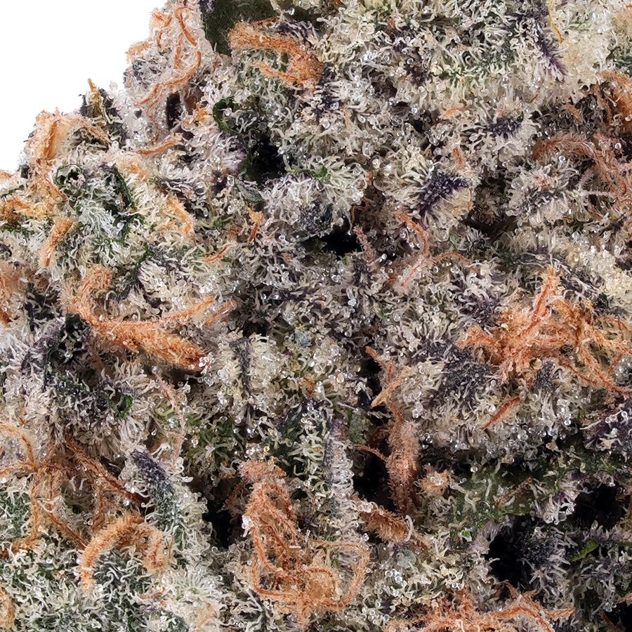 GMO Cookies THCa Flower, photo 2 of 2