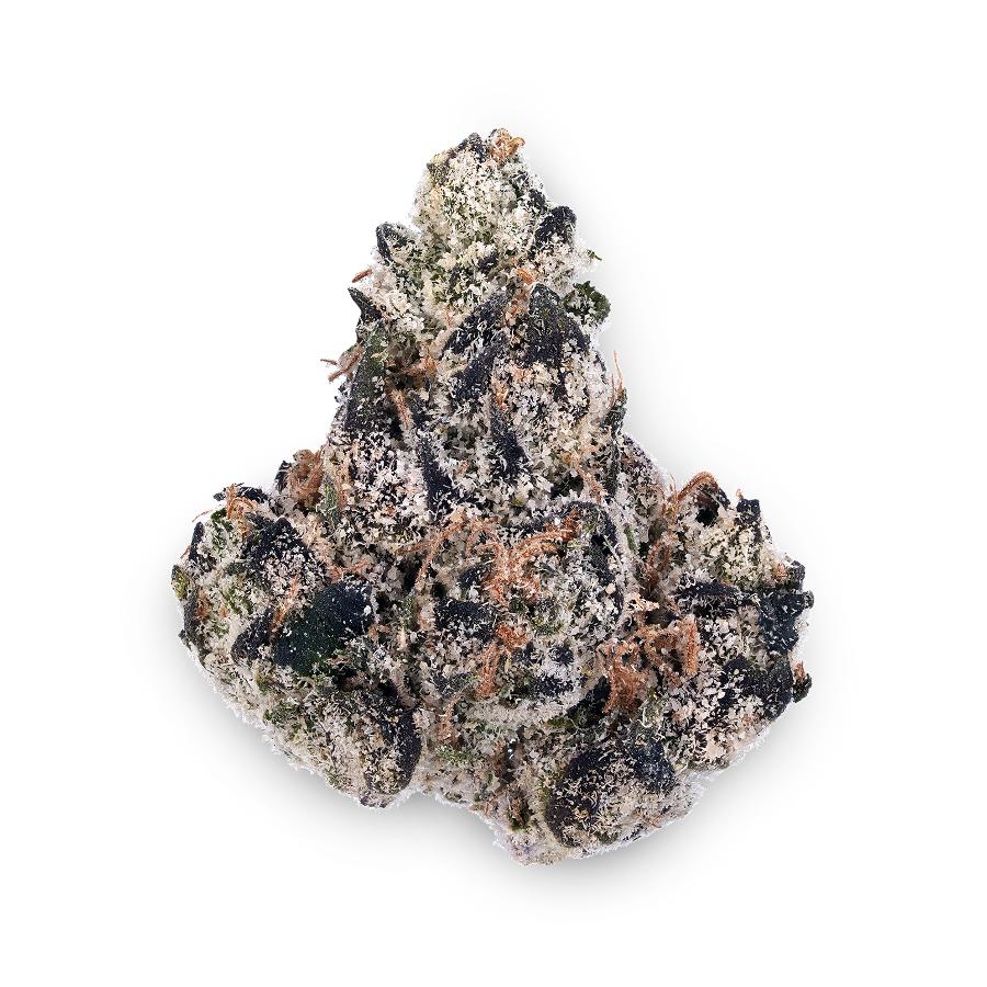Gelato 41 THCa Flower