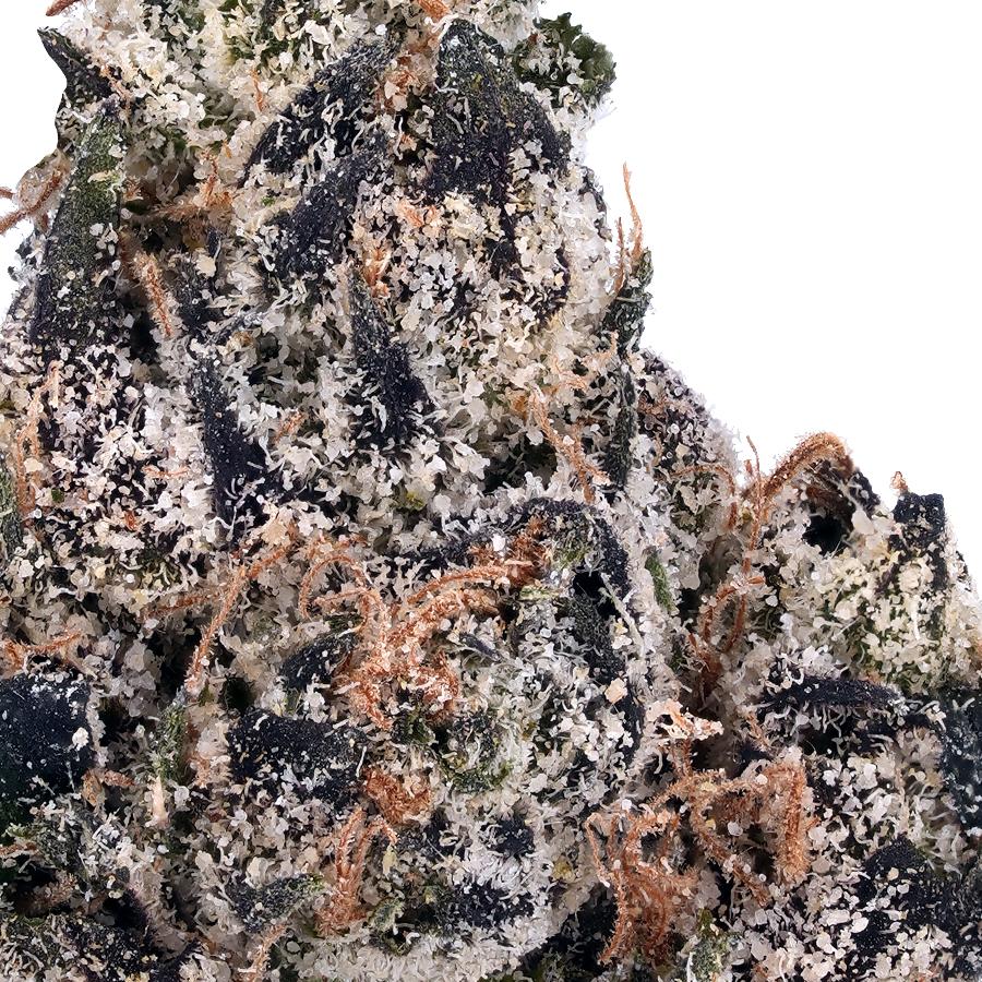 Gelato 41 THCa Flower, photo 2 of 2