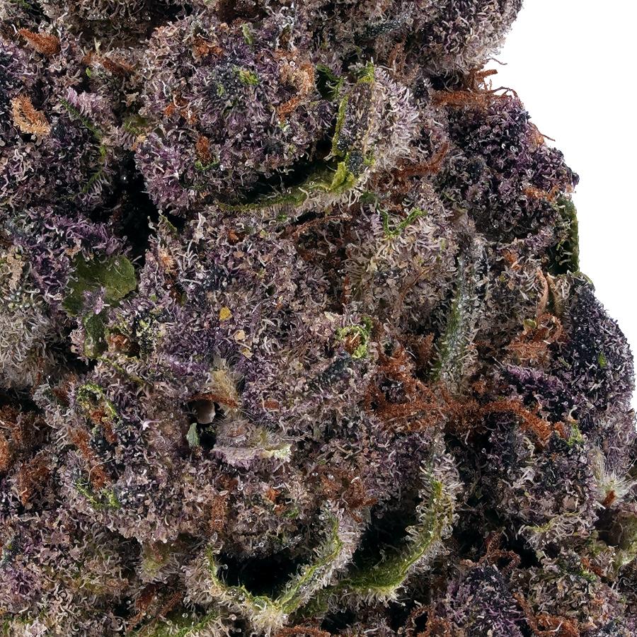 Grand Daddy Purple THCa Flower, photo 2 of 2