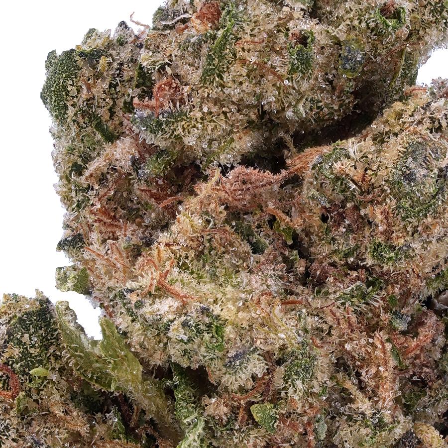 A gallery image for Lamb’s Bread THCa Flower