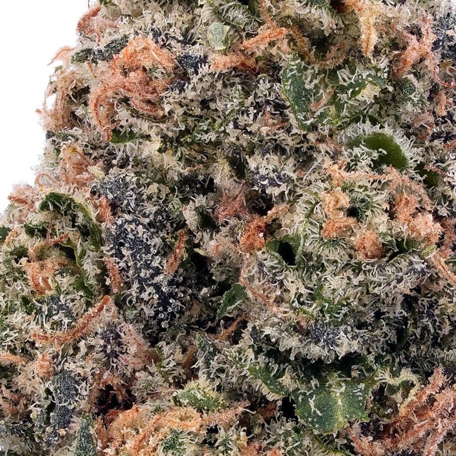 Lemon Pound Cake THCa Flower, photo 2 of 2