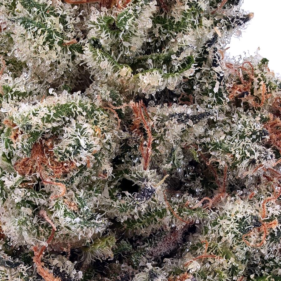 Magic Gum Drops THCa Flower, photo 2 of 2