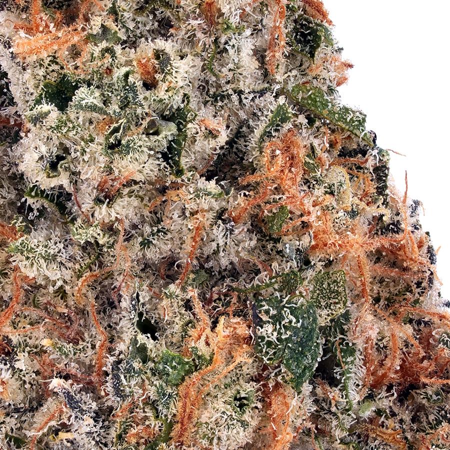 Northern Lights #5 THCa Flower, photo 2 of 2
