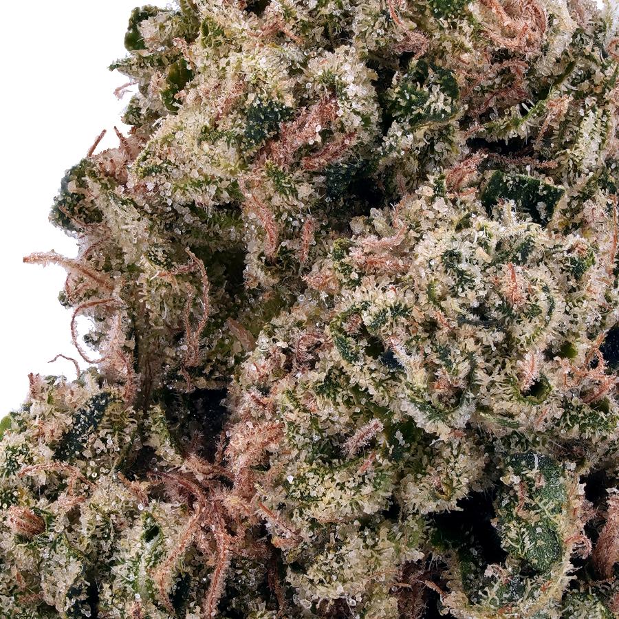 Pumpkin Spice THCa Flower, photo 2 of 2