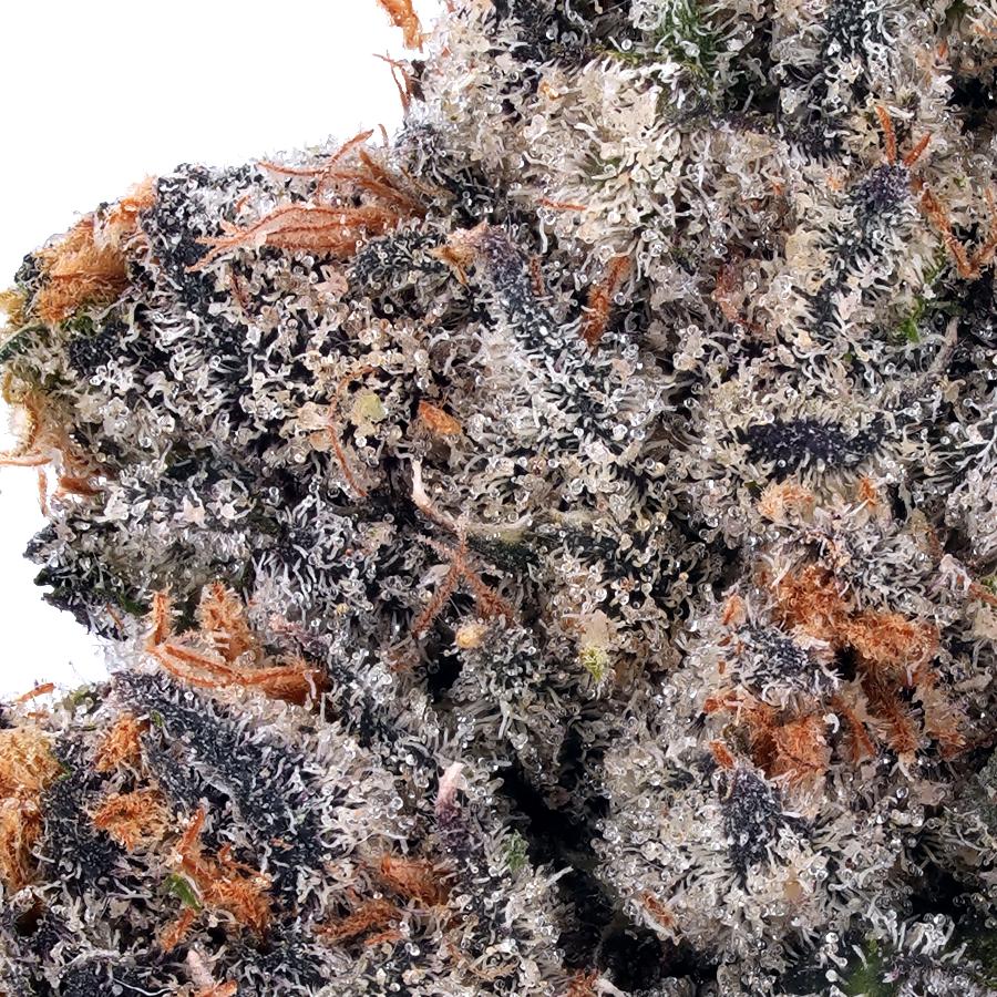 Supreme OG THCa Flower, photo 2 of 2